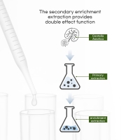 Celleanser-Pure-Centella-Asiatica-Ampoule-30ml_5